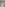 Chica Boom 7 Image