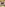 Deutsche Privat Videos 7 Image