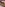 Romantic Sex With My Girlfriend Image