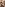 VICD-178 Image