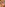 Leah Luv & Harley Suck Fuck Anal A2M Facial Collector Scene Image