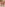 SSNI-658 Image