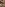 Cum in Nylon 6 Image