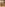 Naked Hollywood 13 & 14 Image