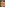Snake Skin Image