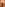 Nina Hartley's Guide to Seduction Image