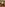 Conquest: Special Edition Image