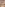 Orgy World 7 Image