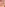 Phat Azz Titties Image