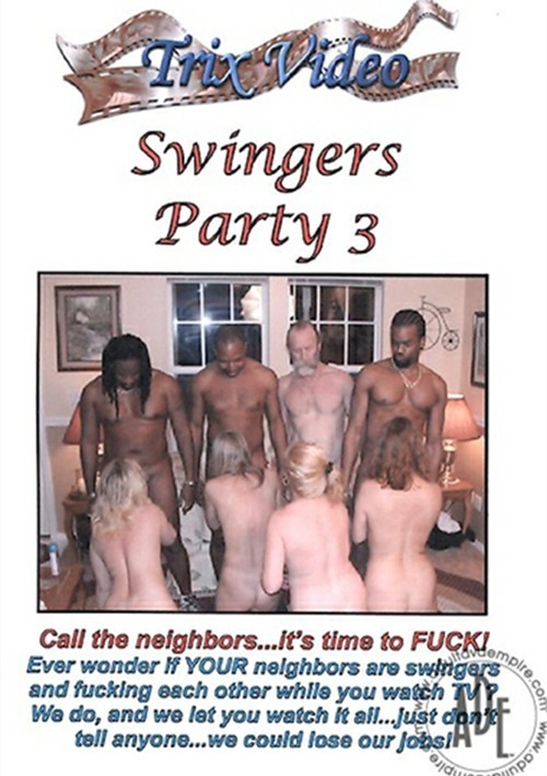 Swingers Party 3 Boxcover
