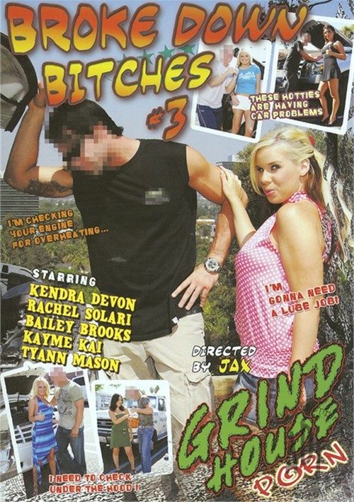 Broke Down Bitches #3 Image