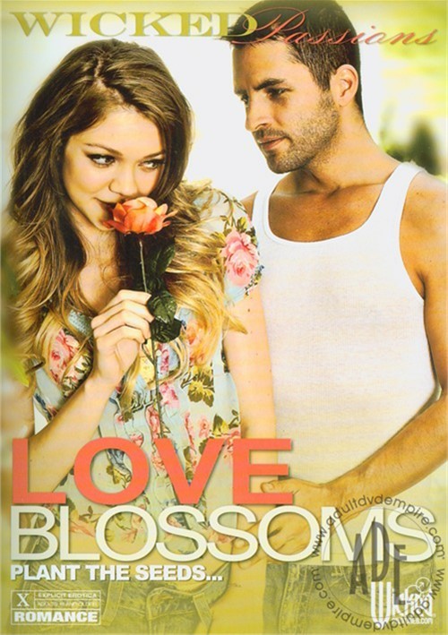 Love Blossoms Image