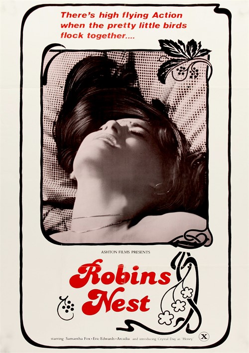 Robins Nest Boxcover