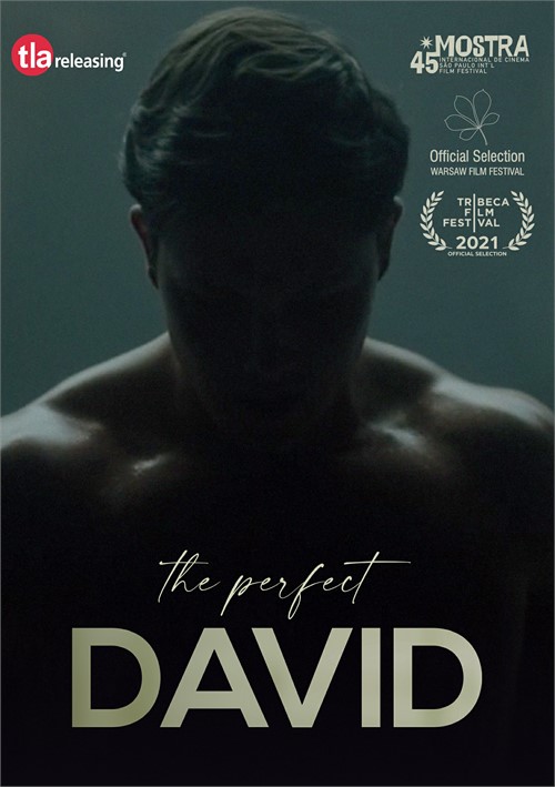 Perfect David, The
