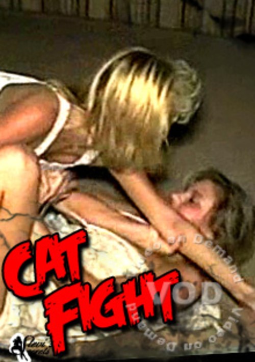 Cat Fight Image