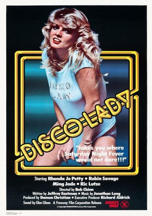 Disco Lady Image