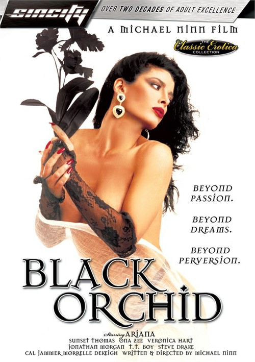 Black Orchid Image