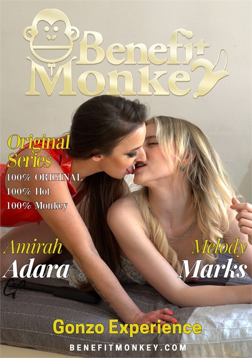 Gonzo Experience Image