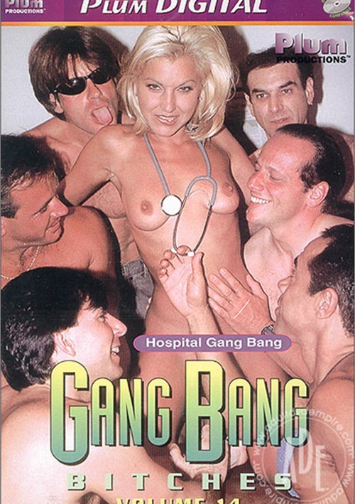 GangBang Bitches 14 Boxcover