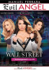 Screwing Wall Street:The Arrangement Finders IPO Boxcover