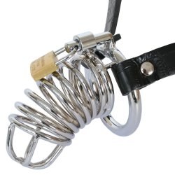 Fetish Fantasy Extreme Chastity Belt Fetish Fantasy Extreme Chastity Belt Boxcover