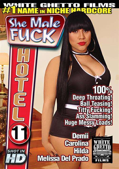 She Male Fuck Hotel 11