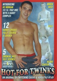 Hot For Twinks Boxcover