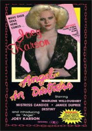 Angels in Distress Boxcover