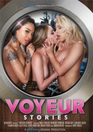 Voyeur Stories Voyeur Stories Boxcover