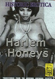 Harlem Honeys Boxcover