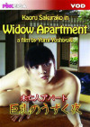 Widow Apartment Widow Apartment Boxcover