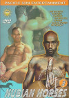 Nubian Horses 3 Boxcover