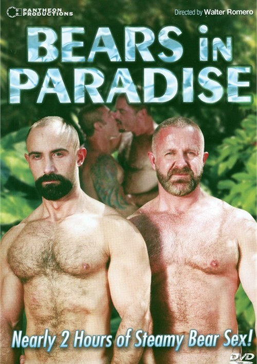 Bears In Paradise Boxcover