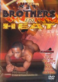 Brothers In Heat Boxcover