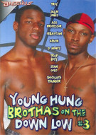 Young Hung Brothas On The Down Low #3 Boxcover