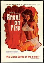 Angel On Fire Boxcover