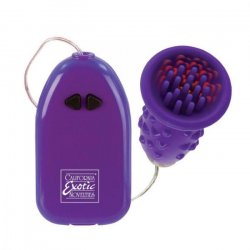 Pleasure Kiss Arouser - Purple Pleasure Kiss Arouser - Purple Boxcover