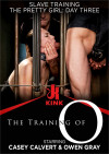 Slave Training The Pretty Girl: Day Three Boxcover