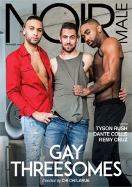 Gay Threesomes Boxcover