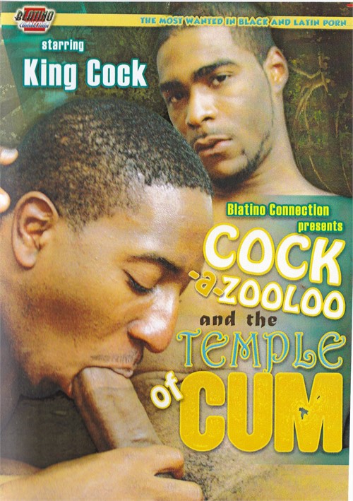 Cock-A-Zooloo and the Temple of Cum Boxcover