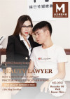 Beauty Lawyer Boxcover