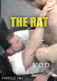 The Rat Boxcover