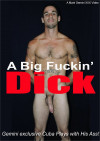Big Fuckin' Dick, A Big Fuckin' Dick, A Boxcover