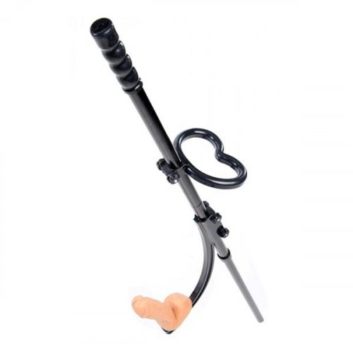 Lovebotz Pleasure Pole sex toy