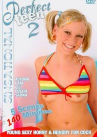 Perfect Teen 2 Boxcover