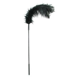 Body Tickler Ostrich Feather Tickler - Black Boxcover