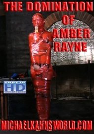 The Domination of Amber Rayne Boxcover