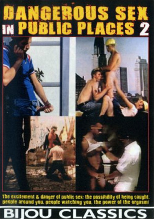 Dangerous Sex in Public Places 2 Boxcover