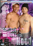 Big Black Dicks in the Hood Boxcover