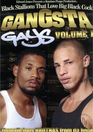 Gangsta Gays Vol. 1 Gangsta Gays Vol. 1 Boxcover